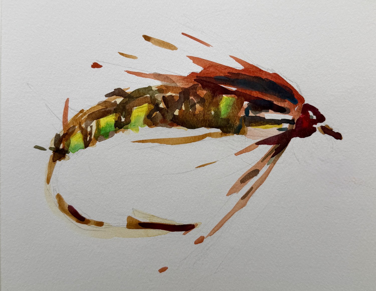 Original watercolor by Patrick Wise — Fly Fish